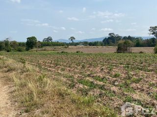 For sale land in Wang Nam Khiao, Nakhon Ratchasima