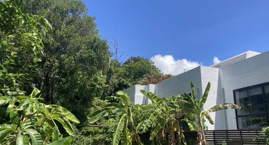 For sale land in Mueang Phuket, Phuket