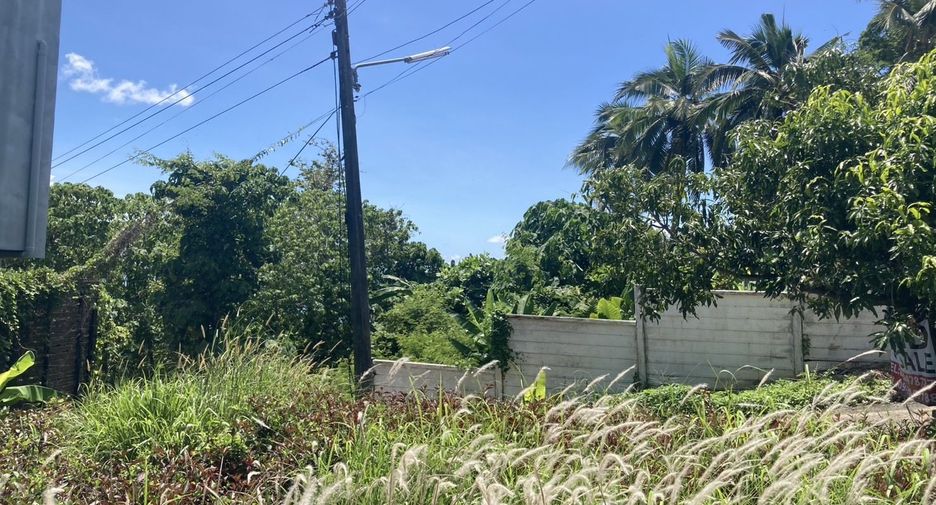For sale land in Mueang Phuket, Phuket