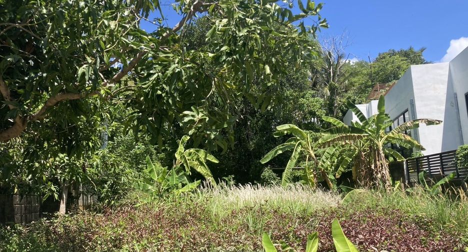 For sale land in Mueang Phuket, Phuket