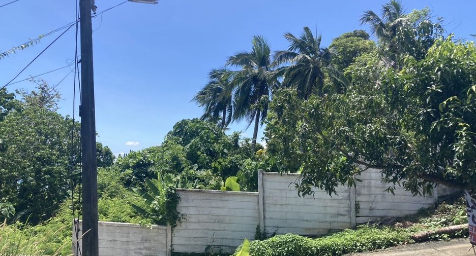For sale land in Mueang Phuket, Phuket