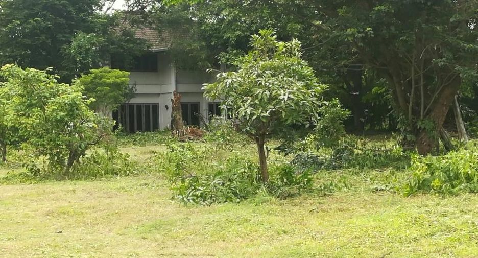 Grundstück zum Kauf in San Kamphaeng, Chiang Mai