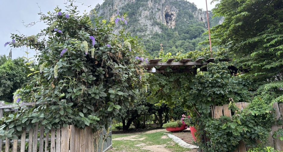 ขาย ที่ดิน ใน ชะอำ, เพชรบุรี