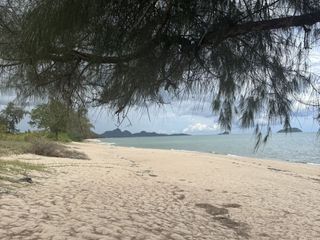 出售 土地 