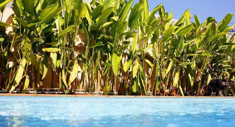 For rent 3 bedrooms villa in Mueang Phuket, Phuket