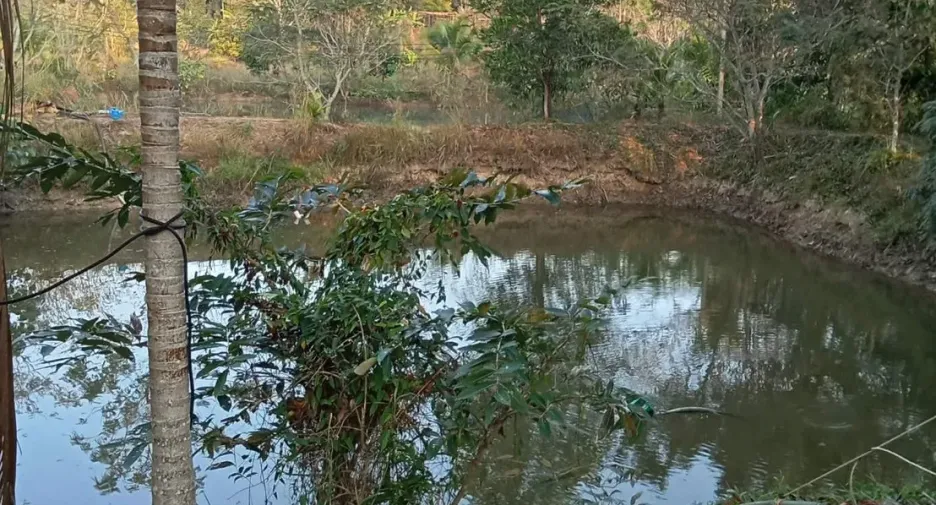 ขาย ที่ดิน ใน โป่งน้ำร้อน, จันทบุรี