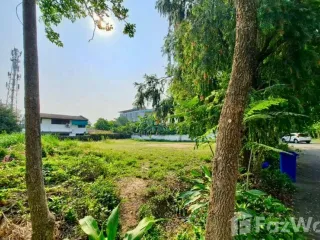 For sale land in Mueang Chiang Mai, Chiang Mai