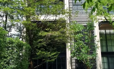 出售 和 出租 4 卧室 独立屋 在 Watthana, 曼谷