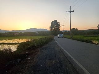 For sale land in Mae Rim, Chiang Mai