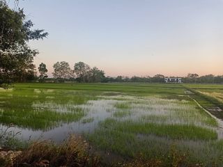 For sale land in Mae Rim, Chiang Mai