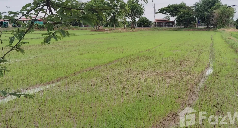 For sale land in Kosum Phisai, Maha Sarakham