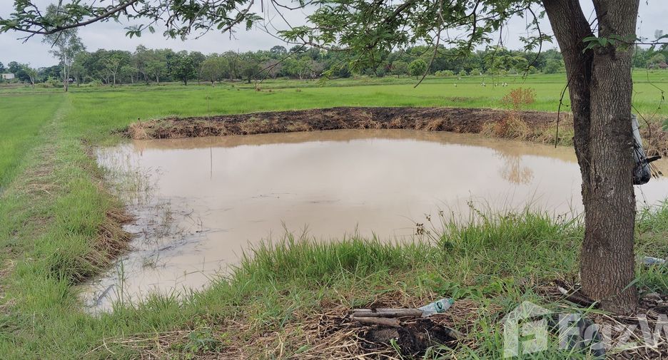 For sale land in Kosum Phisai, Maha Sarakham