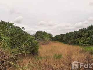 For sale land in Hang Dong, Chiang Mai