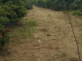 For sale land in Hang Dong, Chiang Mai