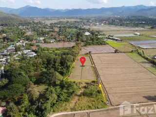 出售 土地 在 San Kamphaeng, Chiang Mai