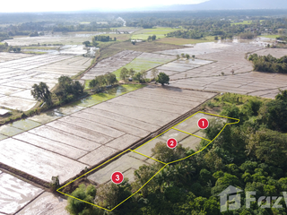 For sale land in San Kamphaeng, Chiang Mai