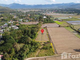 For sale land in San Kamphaeng, Chiang Mai