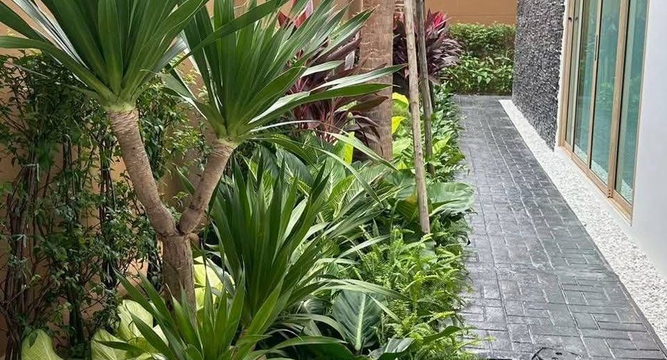 For rent 4 ベッドルーム villa in Bang Lamung, Chonburi