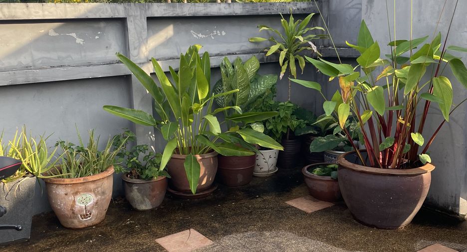 ขาย 2 ห้องนอน บ้านเดี่ยว ใน เมืองภูเก็ต, ภูเก็ต