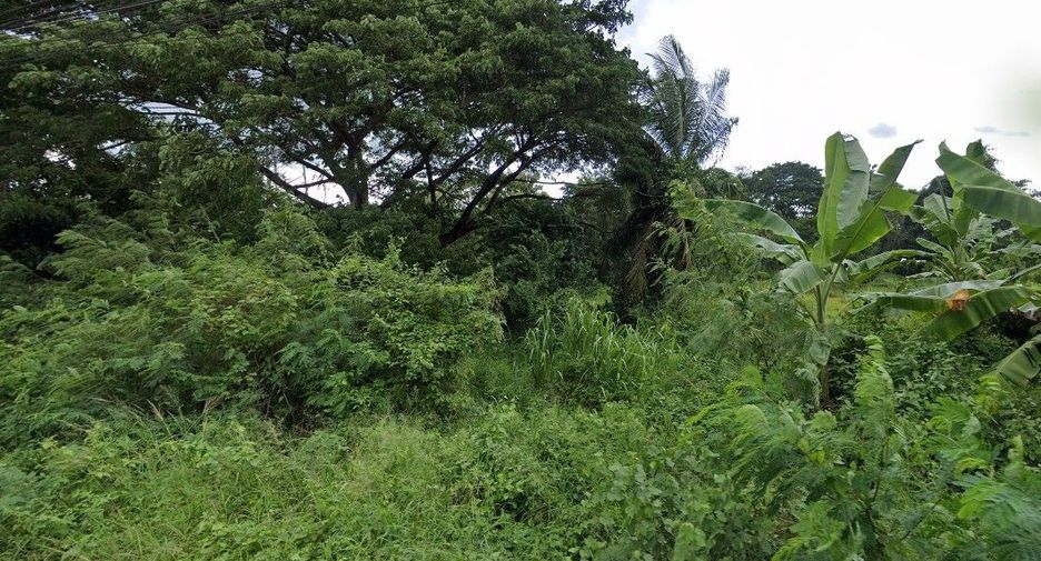 ขาย ที่ดิน ใน ปราณบุรี, ประจวบคีรีขันธ์