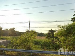 For sale land in Saraphi, Chiang Mai
