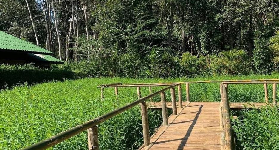 For sale 41 bedrooms hotel in Chiang Dao, Chiang Mai