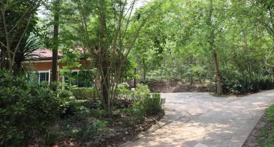 For sale 41 bedrooms hotel in Chiang Dao, Chiang Mai