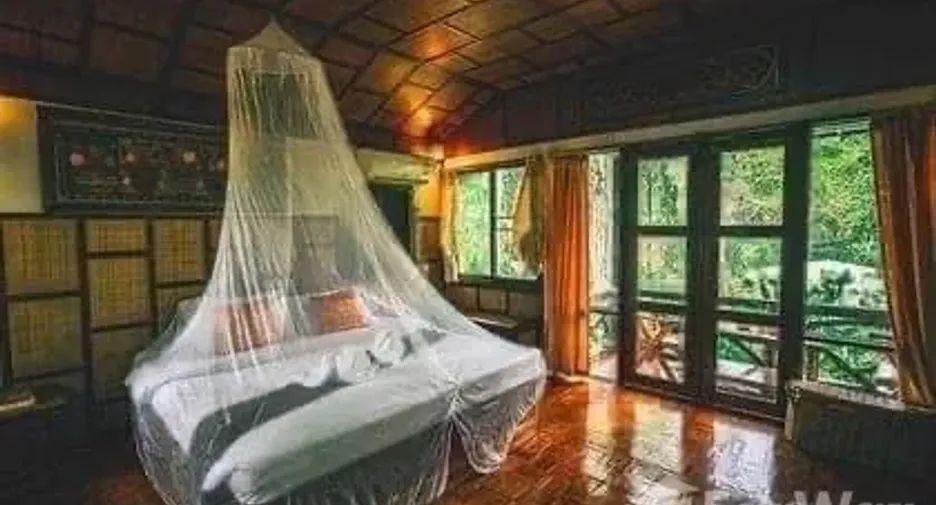 For sale 41 bedrooms hotel in Chiang Dao, Chiang Mai