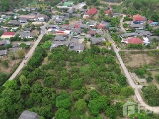 For sale land in San Pa Tong, Chiang Mai