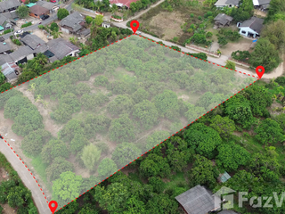 For sale land in San Pa Tong, Chiang Mai