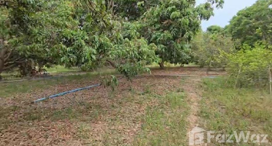 For sale land in San Pa Tong, Chiang Mai