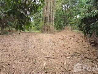 For sale land in San Pa Tong, Chiang Mai