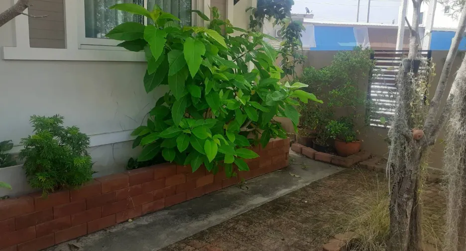 ขาย 3 ห้องนอน บ้านเดี่ยว ใน หัวหิน, ประจวบคีรีขันธ์