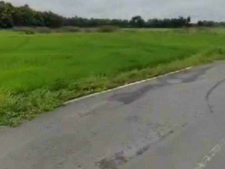 For sale land in San Pa Tong, Chiang Mai