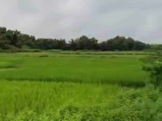 For sale land in San Pa Tong, Chiang Mai