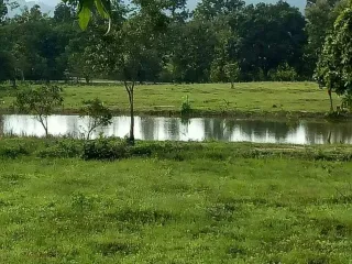 Grundstück zum Kauf in Mae Taeng, Chiang Mai