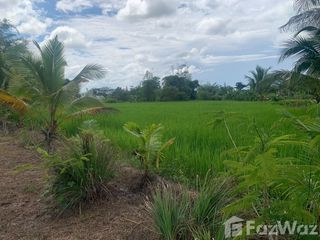 For sale land in Mae Taeng, Chiang Mai
