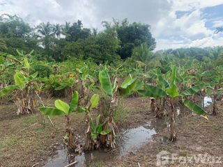 For sale land in Mae Taeng, Chiang Mai