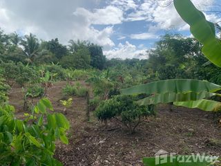 For sale land in Mae Taeng, Chiang Mai