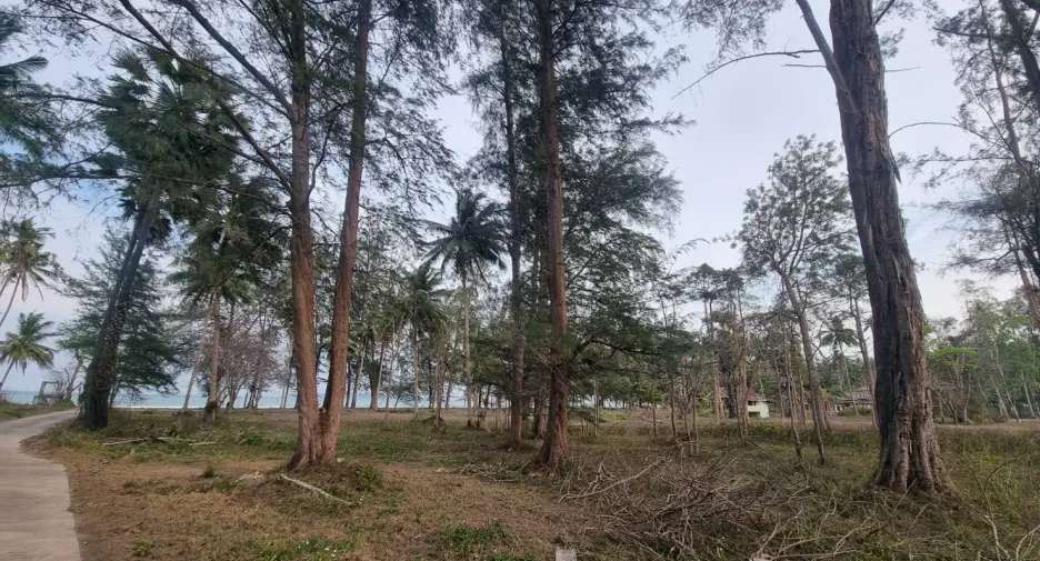 Terreno en venta en Bang Saphan Noi, Prachuap Khiri Khan