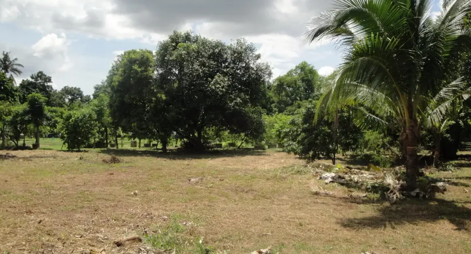 For sale land in Mueang Sakon Nakhon, Sakon Nakhon