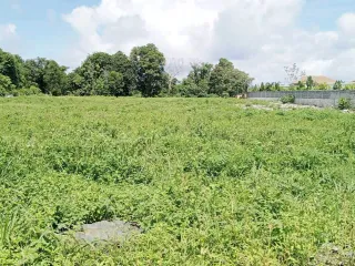 出售 土地 在 塔朗, 普吉