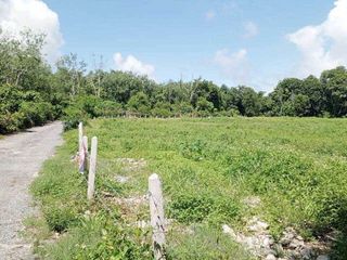 For sale land in Thalang, Phuket