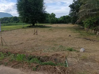 For sale land in Chiang Dao, Chiang Mai