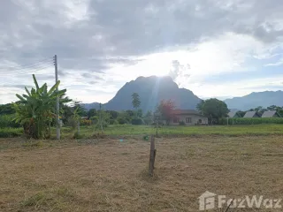 For sale land in Chiang Dao, Chiang Mai