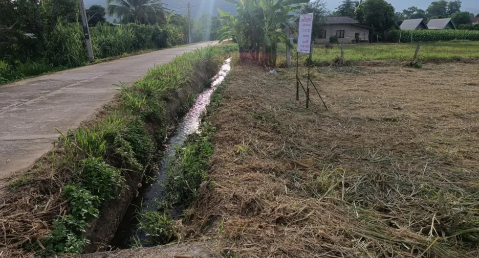 For sale land in Chiang Dao, Chiang Mai