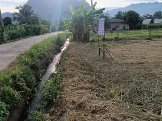 For sale land in Chiang Dao, Chiang Mai