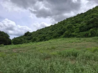 For sale land in Pran Buri, Prachuap Khiri Khan