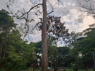 For sale land in Hang Dong, Chiang Mai