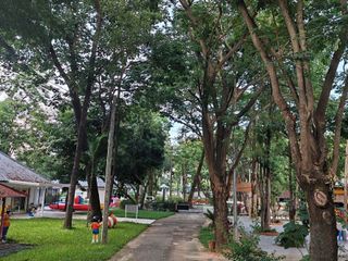 For sale land in Hang Dong, Chiang Mai